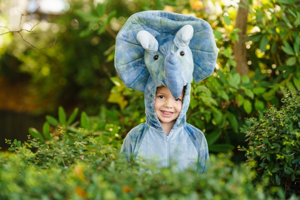 Ein Kind ist als Nashorn verkleidet.