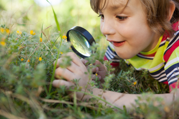 Ein Junge liegt auf dem Bauch in der Natur und schaut sich durch eine Lupe die Pflanzen vor ihm an. 