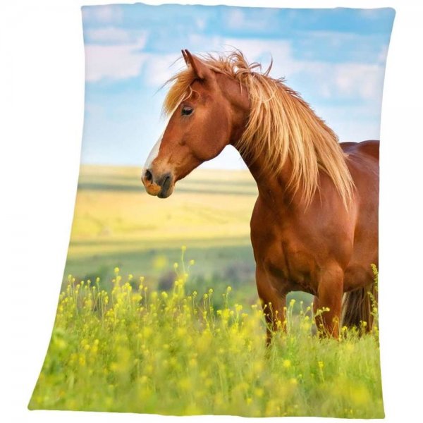 Herding Pferd Fleece-Decke 130x160 cm flauschig weich pflegeleicht atmungsaktiv Tierliebhaber