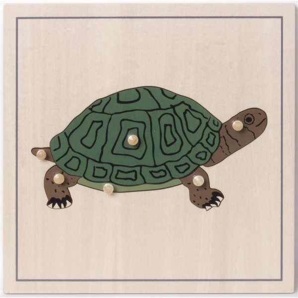 Montessori Puzzle Schildkröte, Tierpuzzle aus Holz, Lernspielzeug, NEU