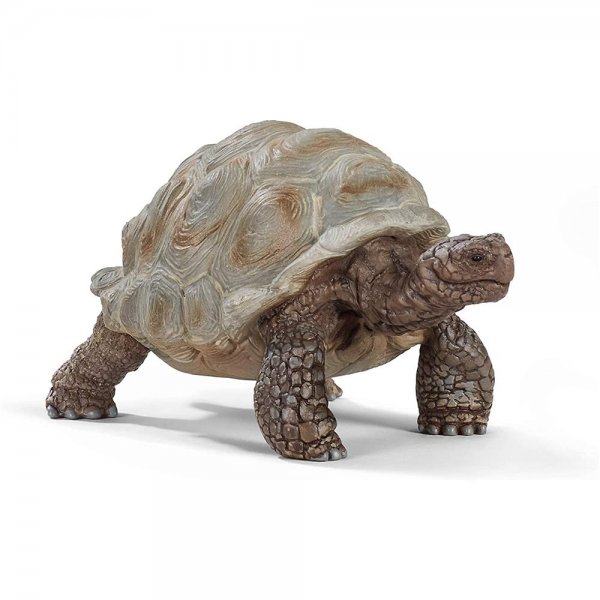 Schleich Wild Life Riesen Schildkröte Tierfigur Kinderspielzeug Kinderfigur Figur Tier