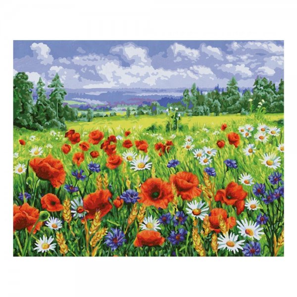 Schipper Malen nach Zahlen Blumenwiese 40 x 50 cm Bilder malen für Erwachsene