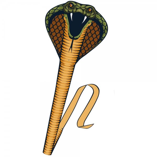 Günther Kinderdrachen Cobra Schlange Einleinerdrachen Flugdrachen für Kinder ab 6 Jahren 69x400cm mit Wickelgriff und Drachenschnur