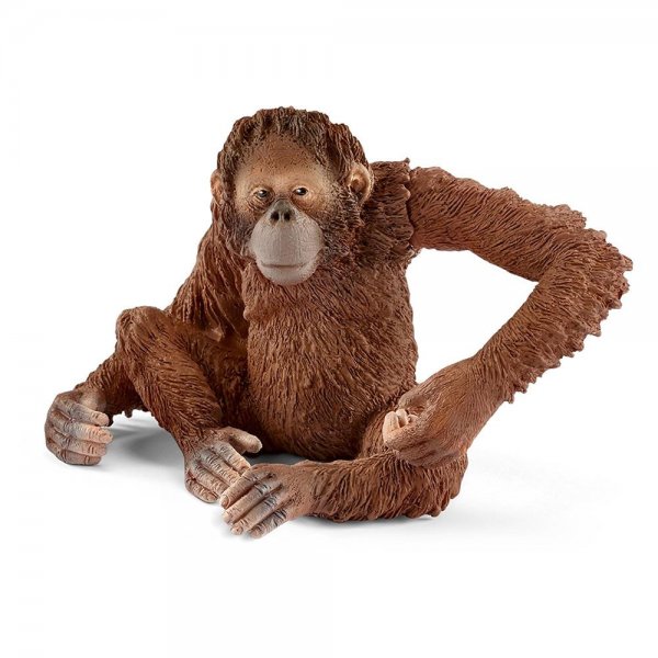 Schleich 14775 Wild Life Orang-Utan Weibchen Affe braun Spielzeugfigur Spielfigur Tiere ab 3 Jahren